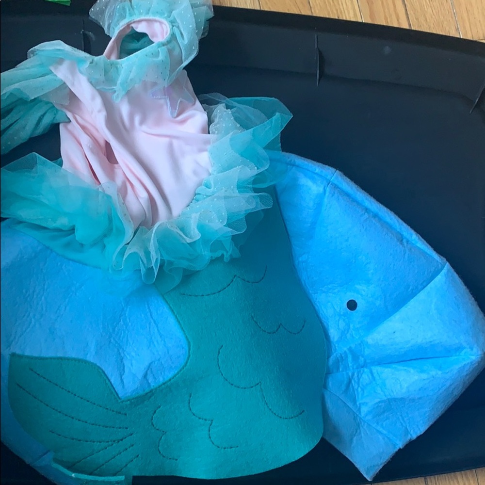 Girls Dolphin Pottery Barn Kids Costume